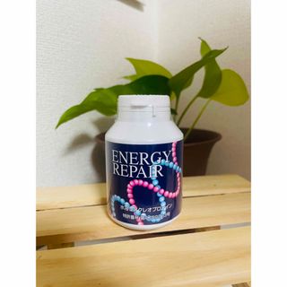 ファイナルフューチャーエナジーリペア核酸 1個 energy rapairの通販