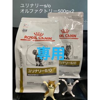 ロイヤルカナン(ROYAL CANIN)の【月子様専用】ロイヤルカナン　ユリナリーS/O オルファクトリー　500g×2袋(ペットフード)