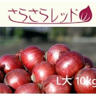 北海道産 くりやま健康玉ねぎ『さらさらレッド』10kg L大サイズ(野菜)