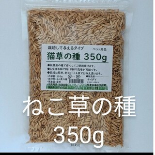 【お買い得】猫草の種350g 食べられる草の種 栽培用 猫 犬 ハムスター(ペットフード)