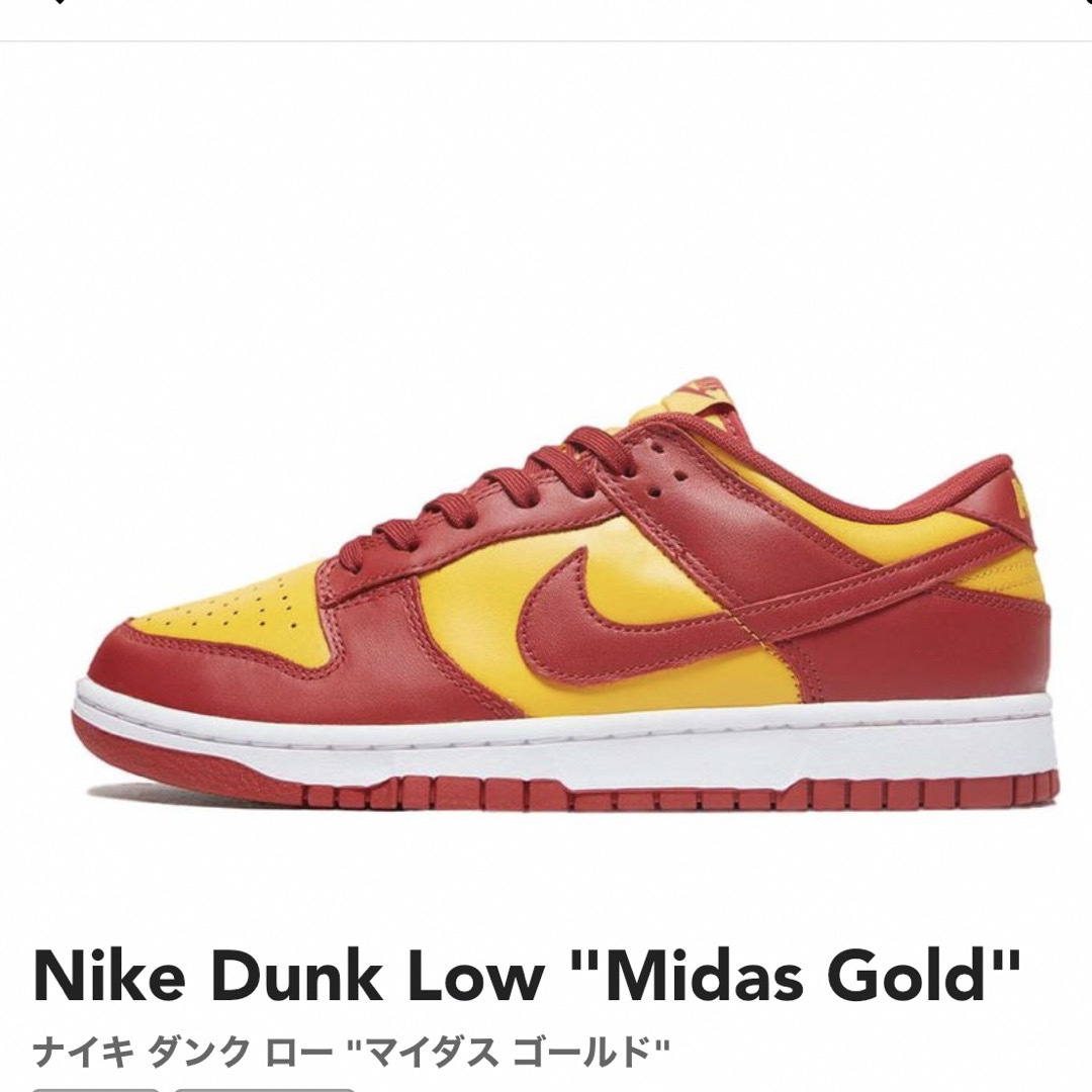 NIKE(ナイキ)のNIKE  DUNK LOW メンズの靴/シューズ(スニーカー)の商品写真