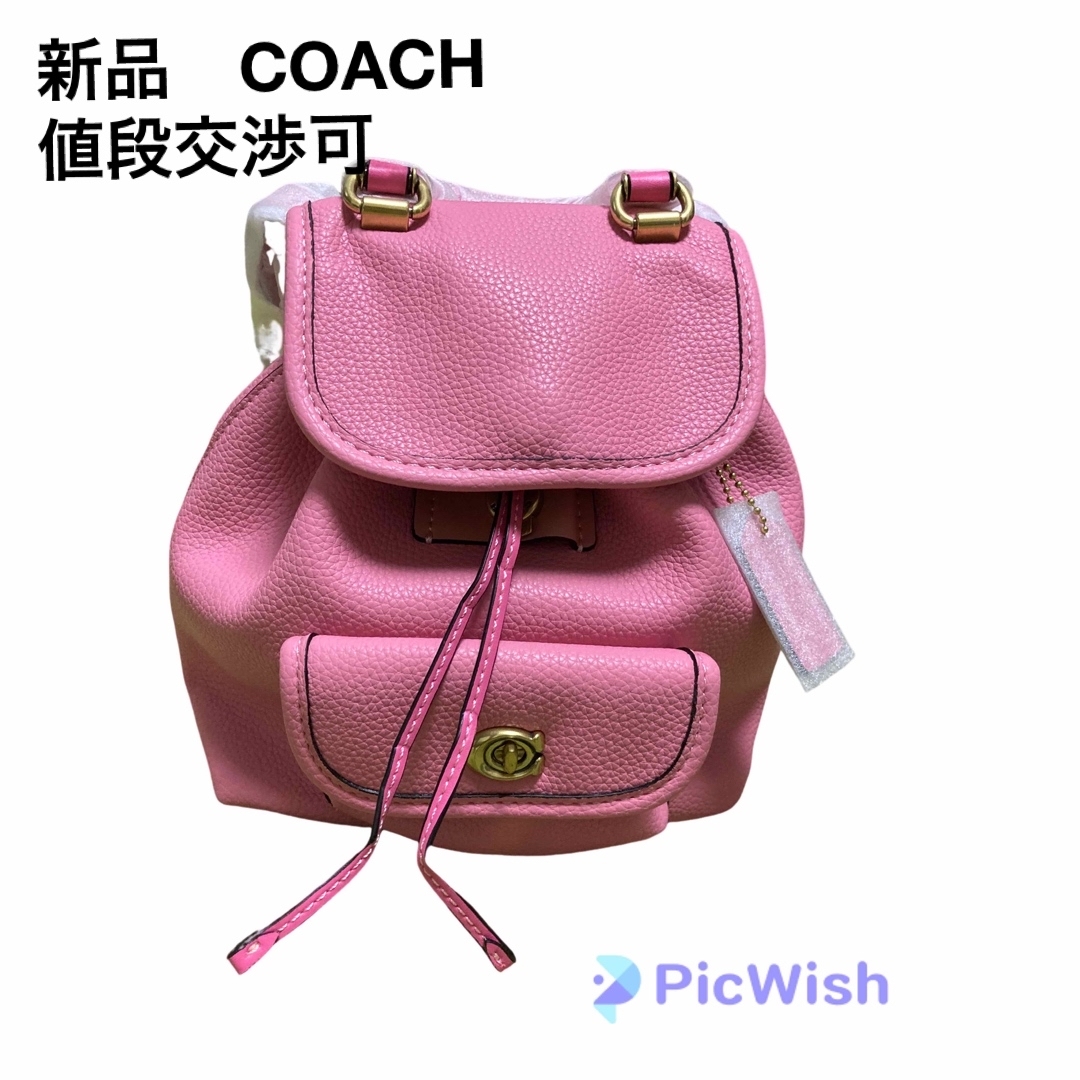 残1点 COACH コーチ ミニ リュック バックパック レオパード ヒョウ柄