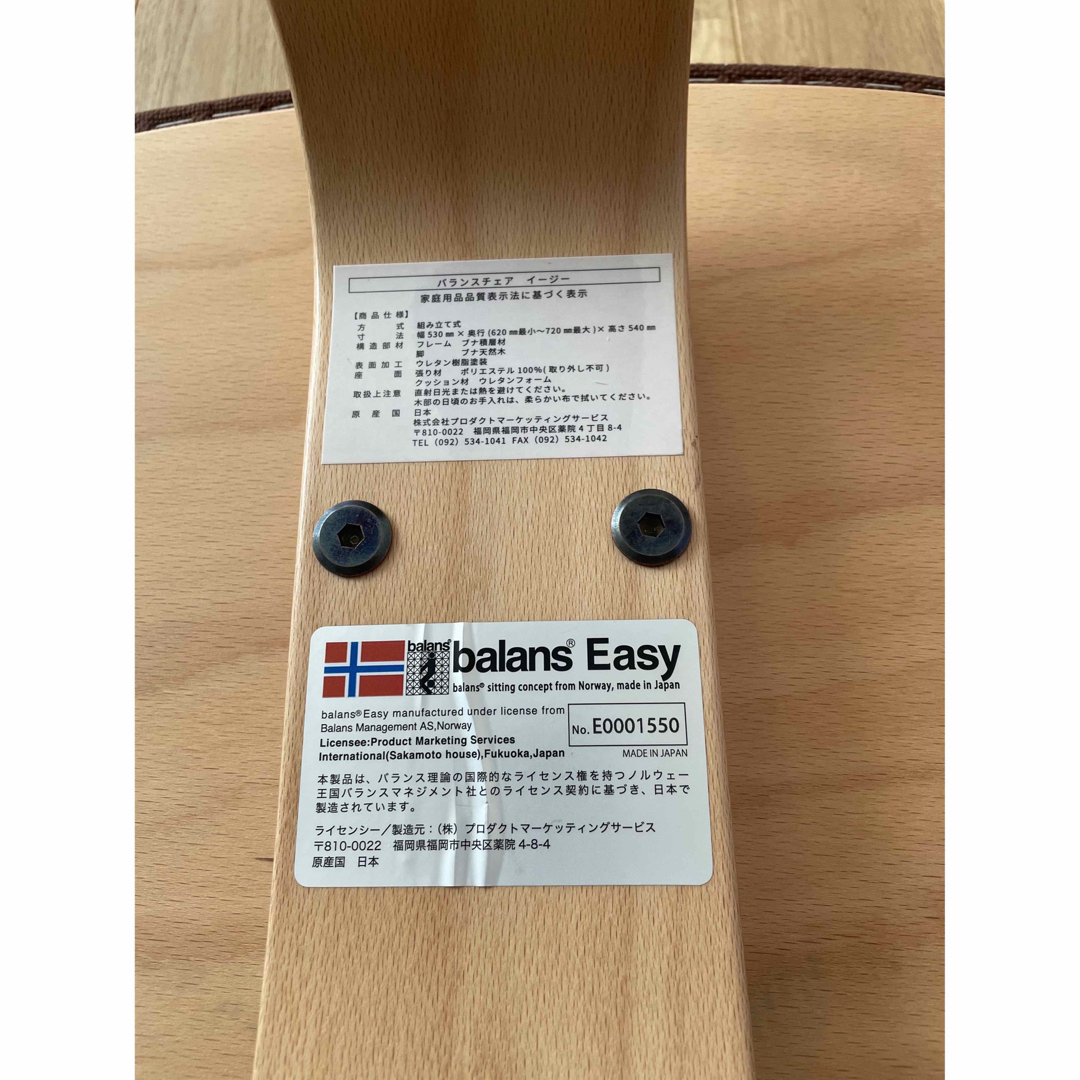 バランスチェアbalans Easy&純正カバー　付属品全て⭐︎美品⭐︎ 6