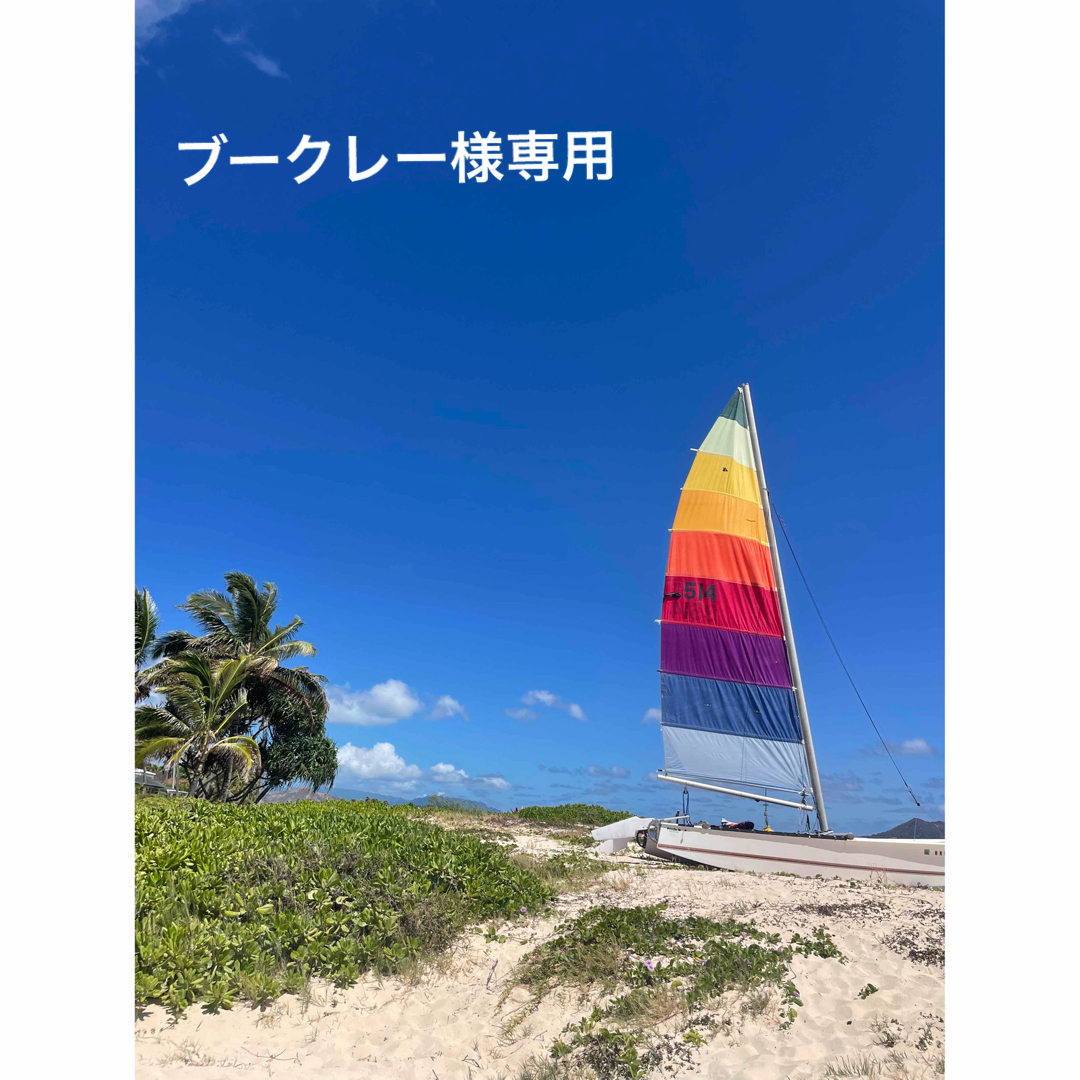 ディオール ネックレス 専用です-