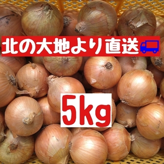 産地直送　北海道産玉ねぎ5kg(2Ｌ)(野菜)