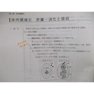 VE05-164 代ゼミ 代々木ゼミナール 医学部生物 テキスト 未使用 2017 02s0D