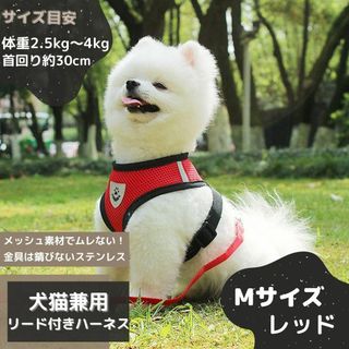 ペット用 ハーネス リードセット M 犬 小型犬 リード 猫用ハーネス レッド(その他)