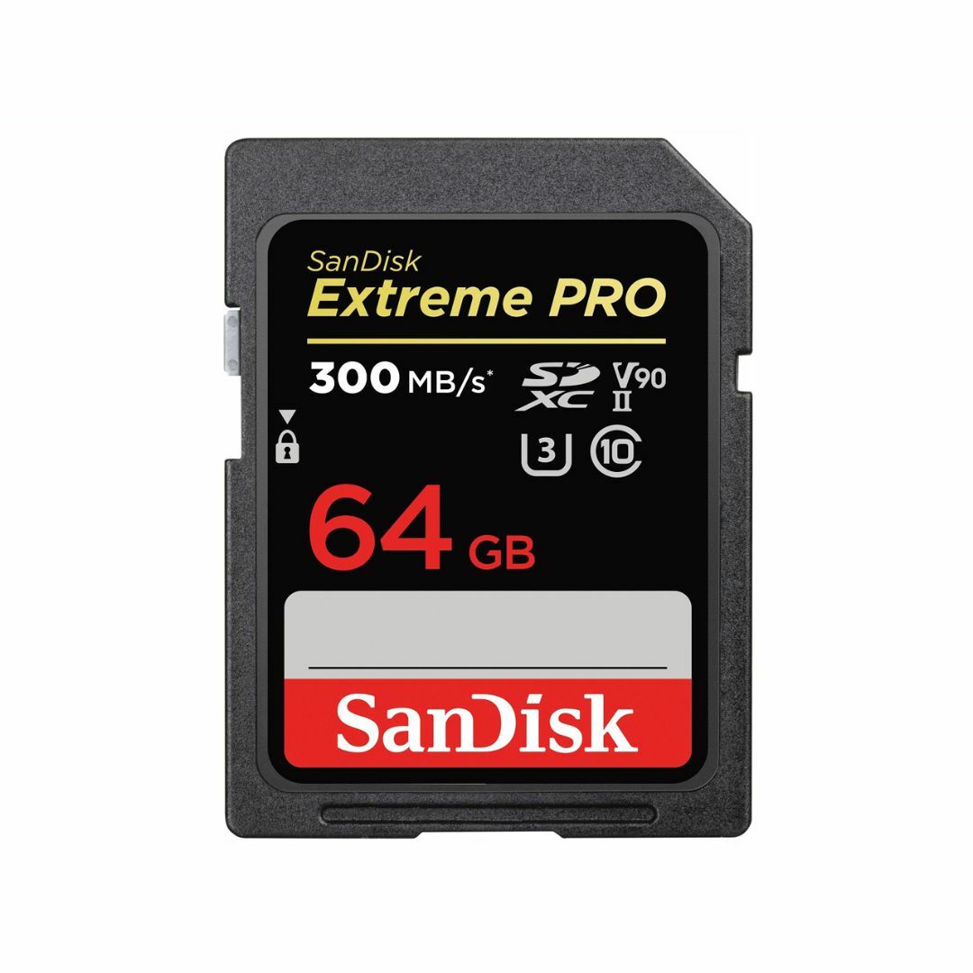 SANDISK　SDSDXDK-064G-JNJIP [64GB]