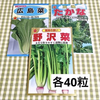 漬け物に 野菜の種 お裾分け  広島菜・たかな・野沢菜 各40粒＋α (野菜)