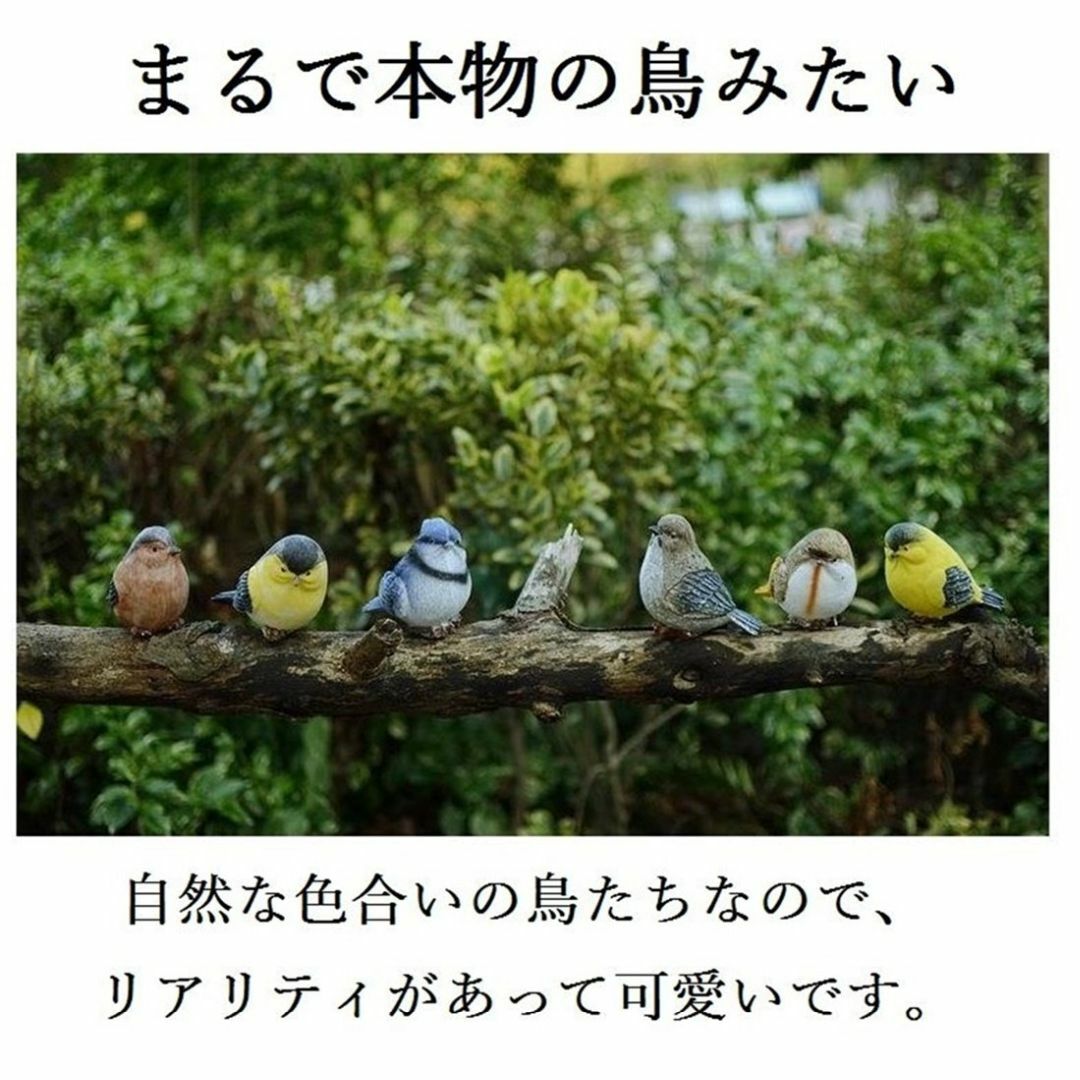 【色: 小鳥 セット】MedianField 【 小鳥 置物 6個 セット 】 3