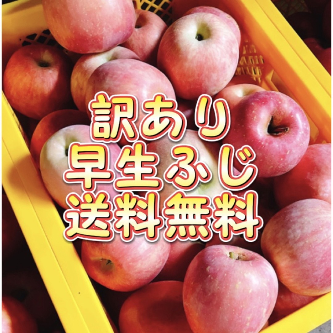 産地直送】青森県産りんご　早生ふじ　10kgの通販　by