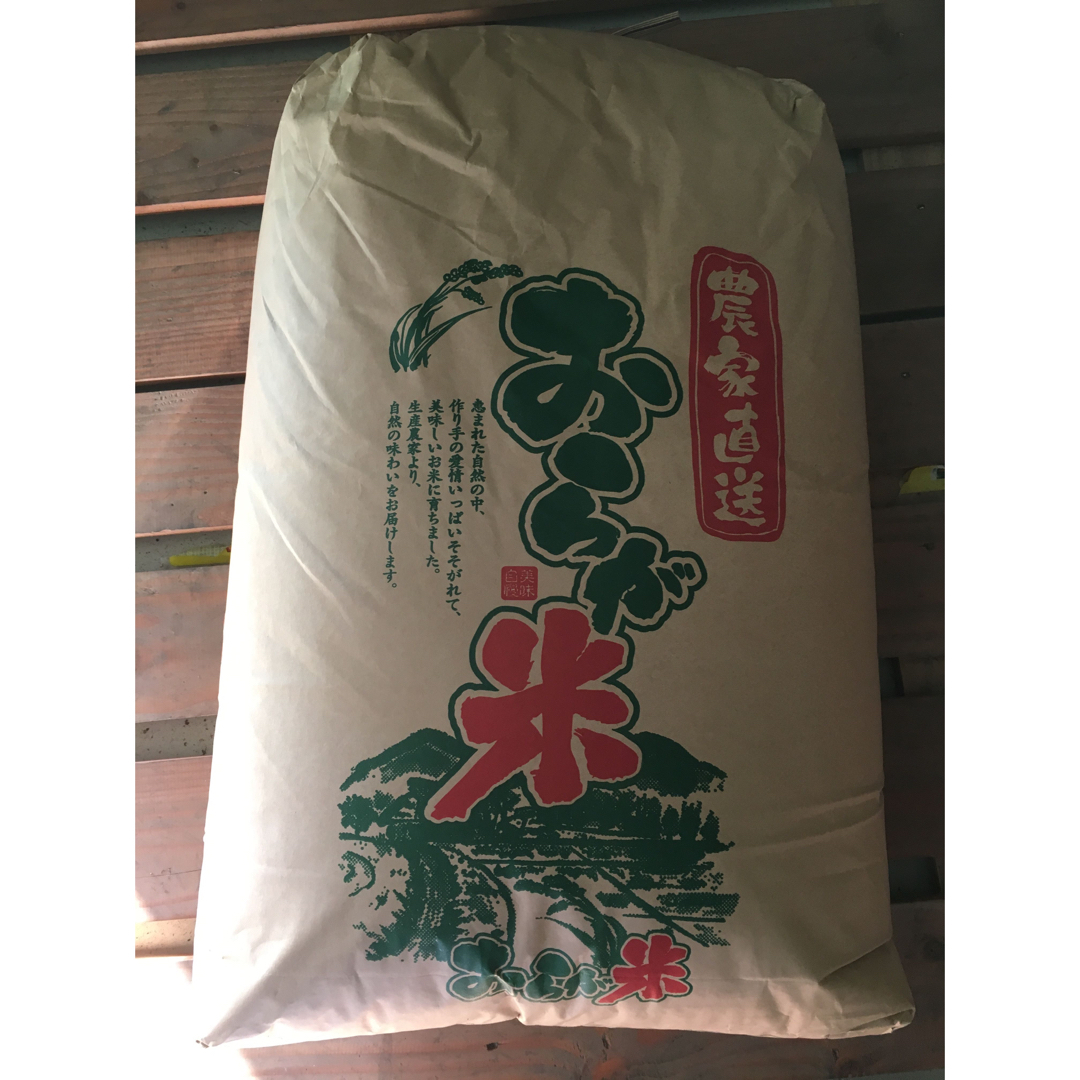 お米　令和4年茨城県産　コシヒカリ　24kg