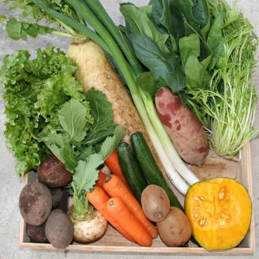 地域に値段変更】自然栽培 野菜セット☆無肥料無農薬の野菜詰め合わせ