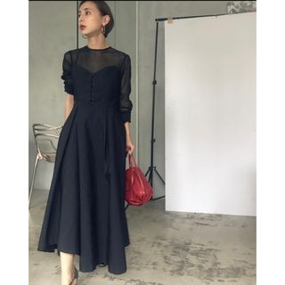 アメリヴィンテージ(Ameri VINTAGE)のAmeri Vintage / DOT SHEER FLARE DRESS(ロングワンピース/マキシワンピース)