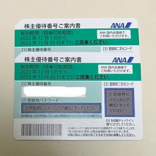 エーエヌエー(ゼンニッポンクウユ)(ANA(全日本空輸))の2枚　ANA株主優待券(その他)