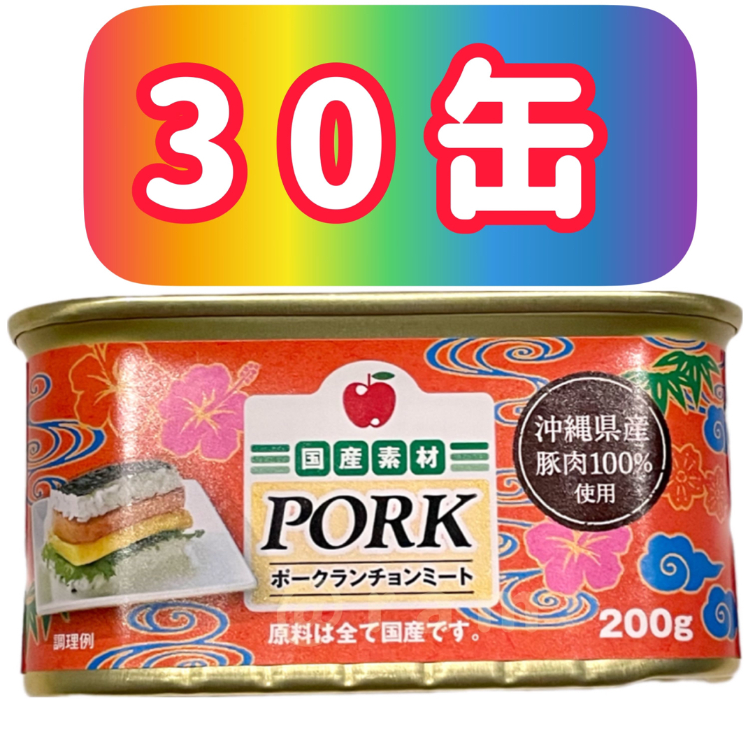 コープオリジナルランチョンミート 沖縄限定 スパム 10缶