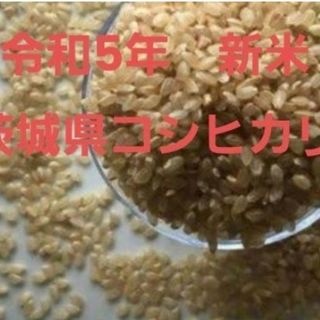 令和5年 　新米　茨城県産コシヒカリ　玄米6合(米/穀物)