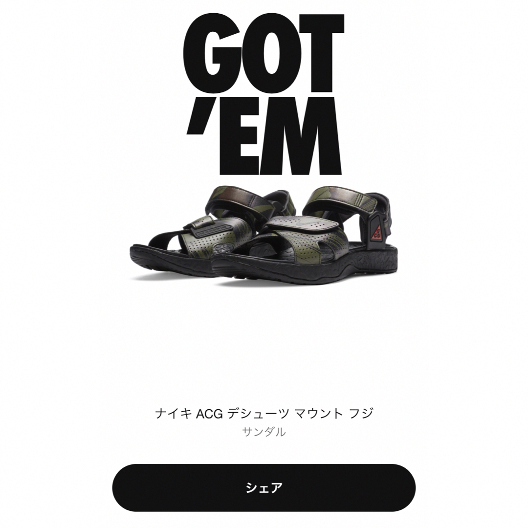 NIKE ナイキ ACG デシューツ マウントフジ スポーツサンダル