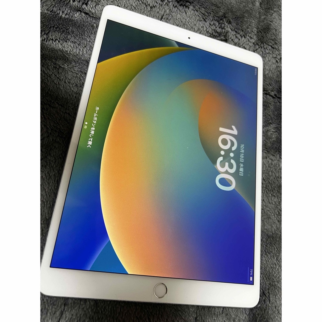 【極美品】iPad Pro 10.5インチ 64GB Cellularモデル 1