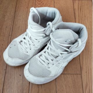 アシックス(asics)のsize19  アシックス バッシュ(スニーカー)