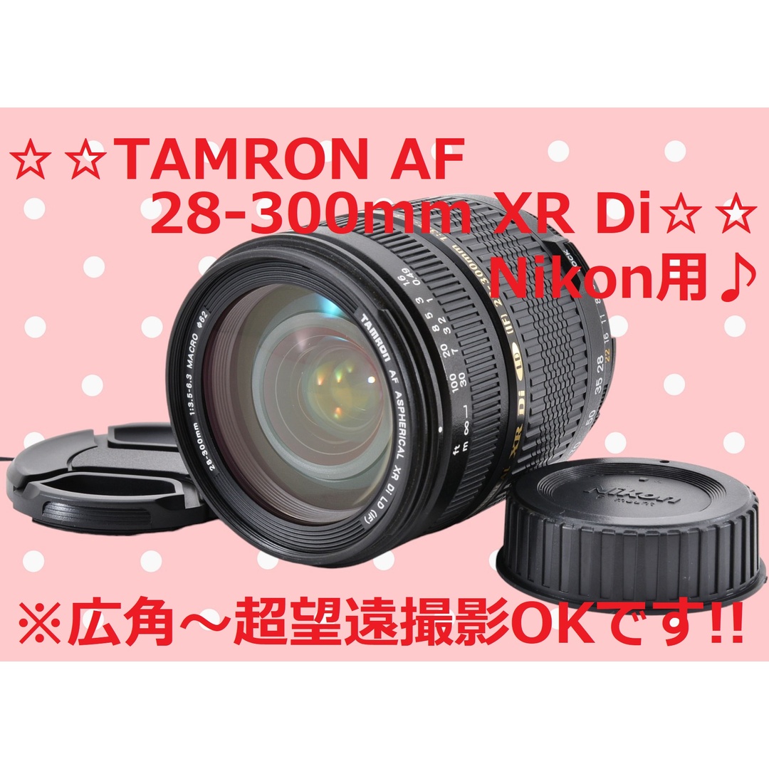 TAMRON AF 28-300mm XR Di Nikon 用 #6215 - レンズ(ズーム)