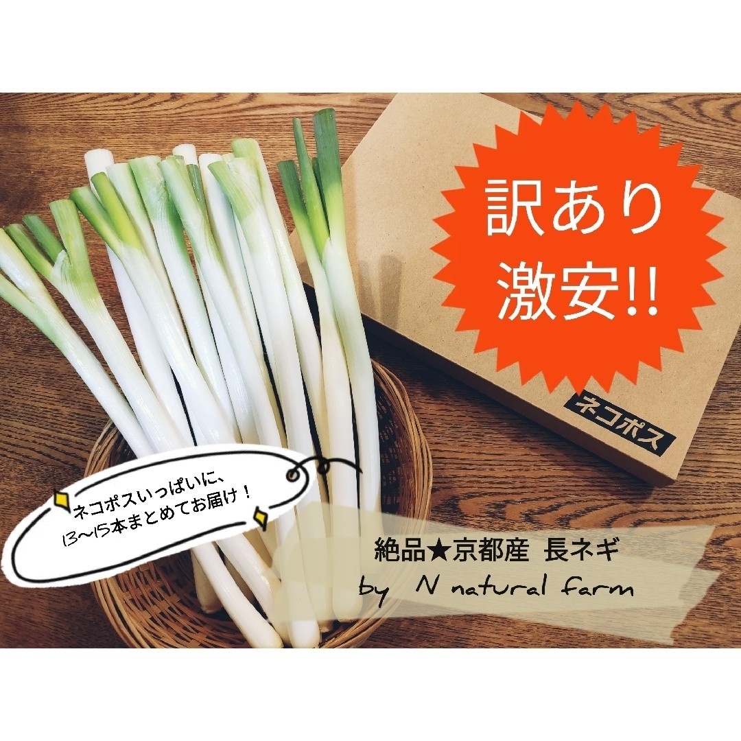 【訳あり激安】京都産 長ネギ 白ネギ #23 食品/飲料/酒の食品(野菜)の商品写真