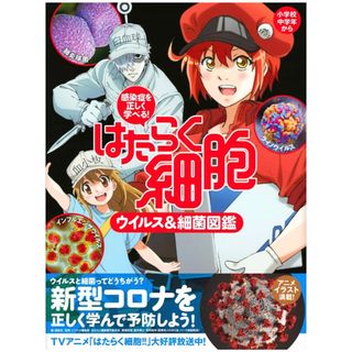 コウダンシャ(講談社)のはたらく細胞ウイルス＆細菌図鑑 感染症を正しく学べる！(その他)