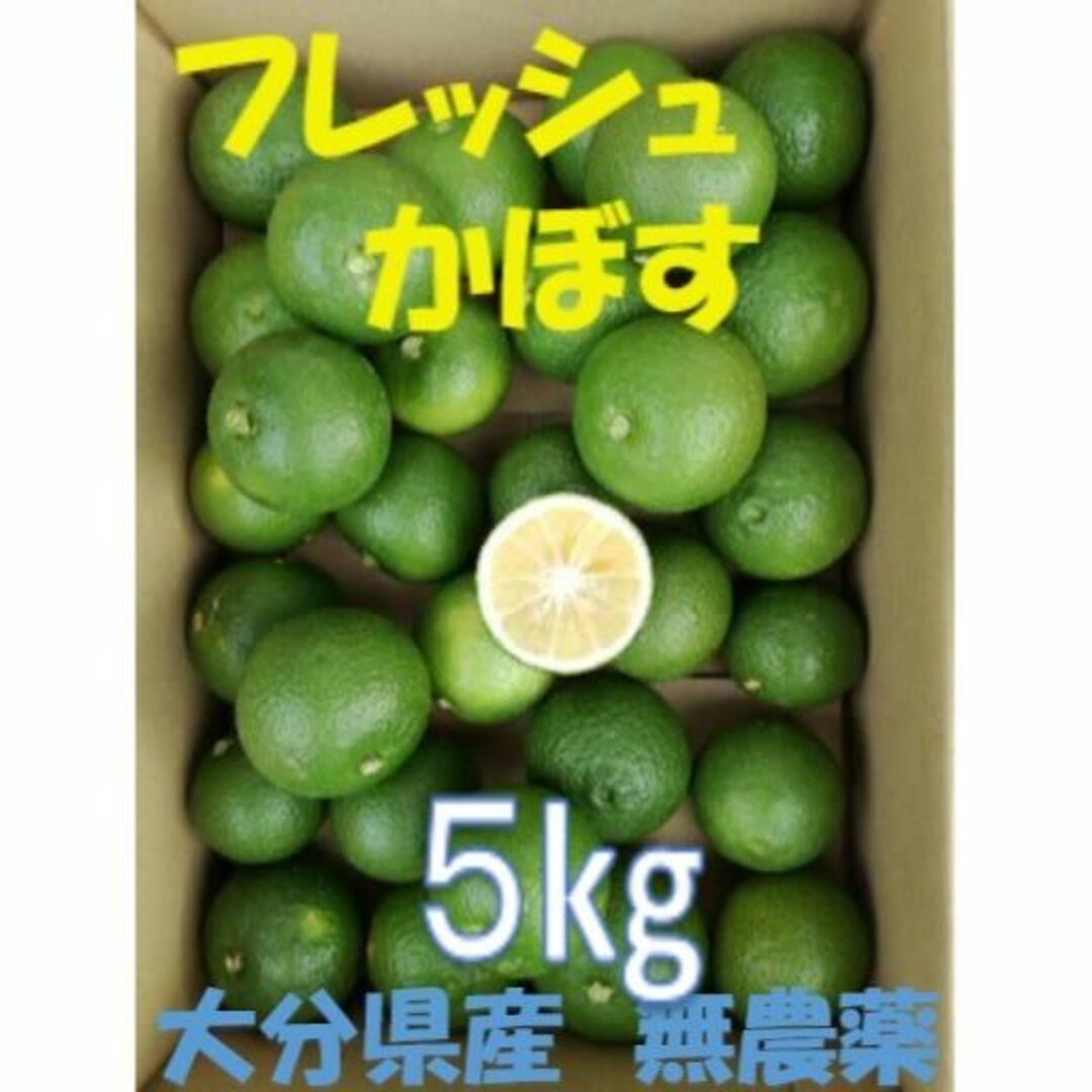 大分県名産 フレッシュかぼす 5kg 種なし 食品/飲料/酒の食品(フルーツ)の商品写真