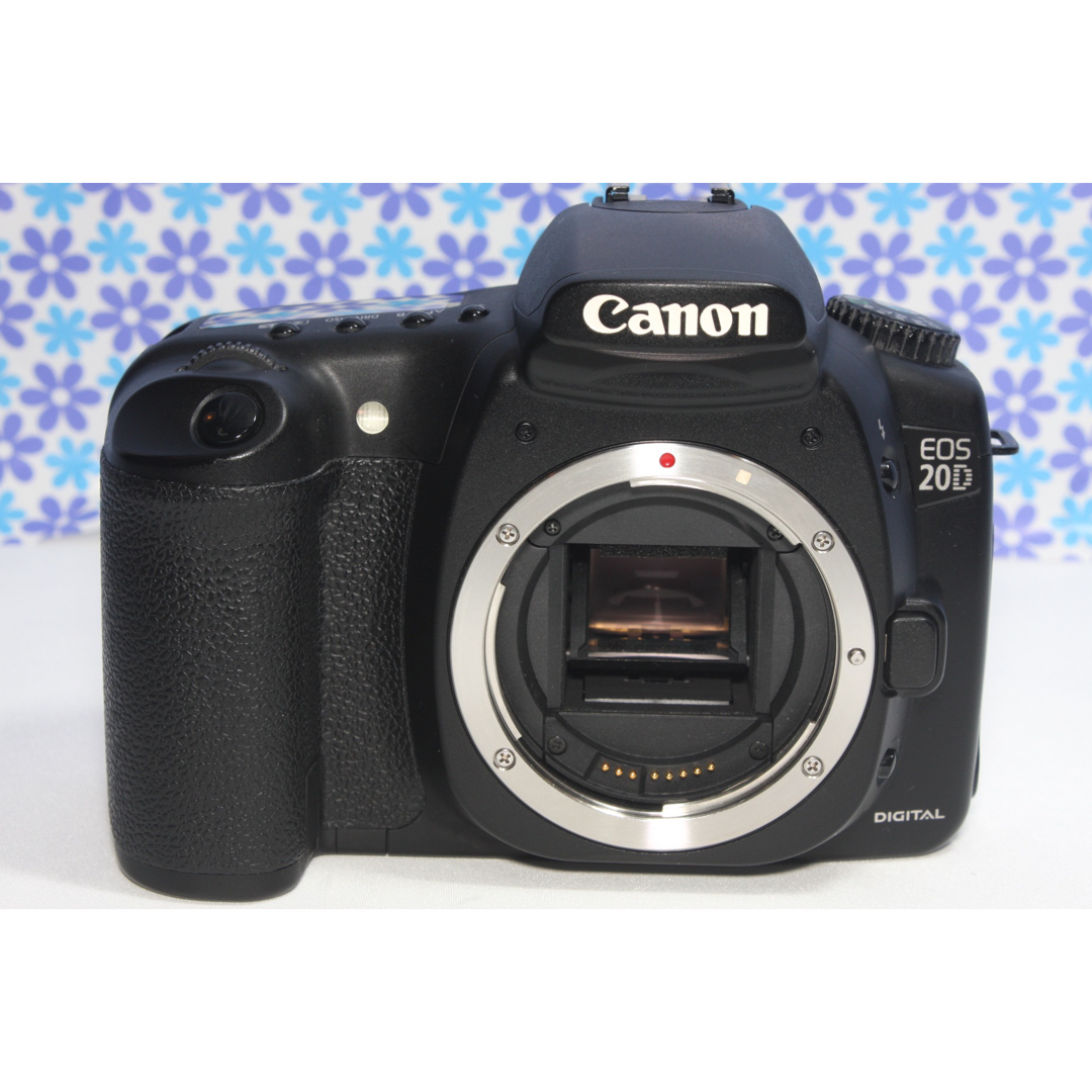 Canon - 極上美品☆Canon EOS 20D レンズセット☆高画質☆初心者