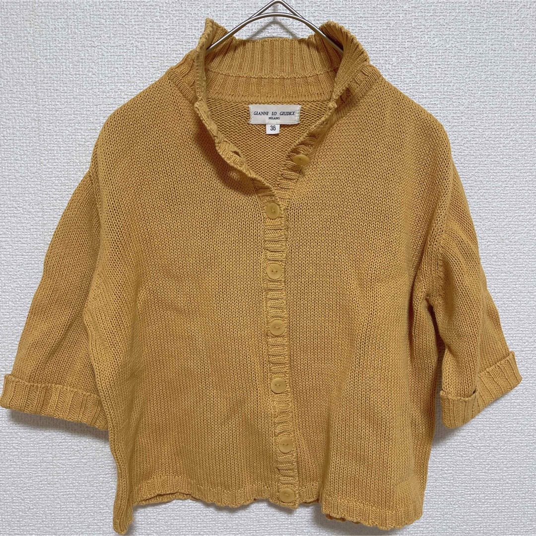 GIANNI LO GIUDICE(ジャンニロジュディチェ)のジャンニロジュディチェ セーター ニット 春服 秋服 ジャンニロ 半袖 レディースのトップス(ニット/セーター)の商品写真