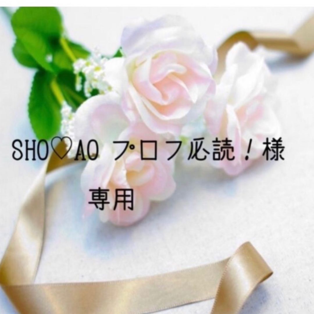 SHO♡AO プロフ必読　お米　令和5年　愛媛県産コシヒカリ　白米　10㎏