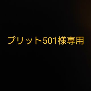 プリット501様専用(その他)