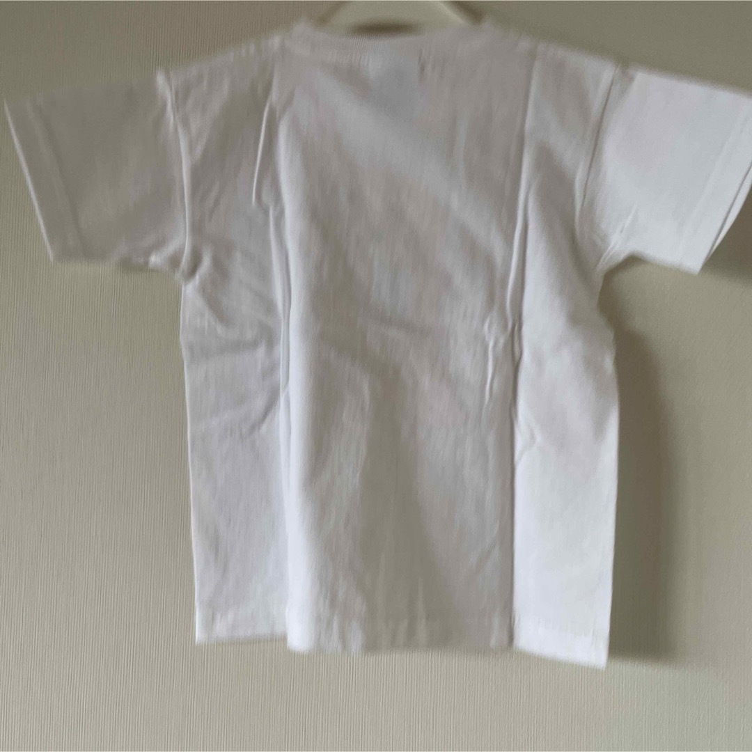 GUAM, U.S.A. イルカグラフティー Tシャツ 状態良好 発泡プリント