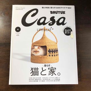 マガジンハウス(マガジンハウス)のCasa BRUTUS  カーサ・ブルータス　2022年 06月号(生活/健康)