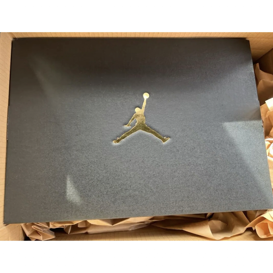 Nike AIR JORDAN1  新品未着品 2