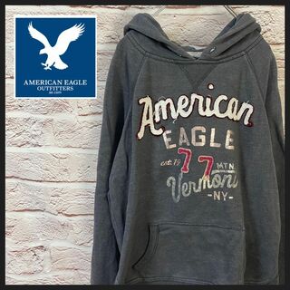 American Eagle Outfitters パーカー　[ M ](パーカー)