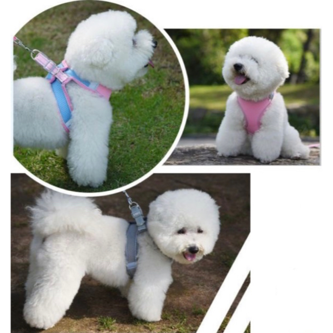 リード 首輪 犬 散歩 用品 小型犬 ペット 新品未使用 ハンドメイドのペット(リード/首輪)の商品写真