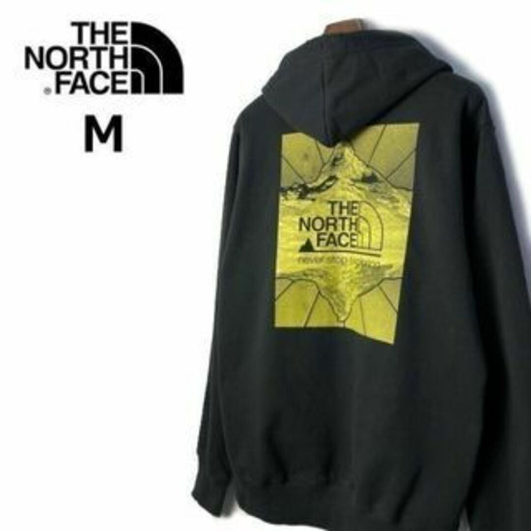 THE NORTH FACE - ノースフェイス NOV GRAPHIC パーカー US限定(M)黒