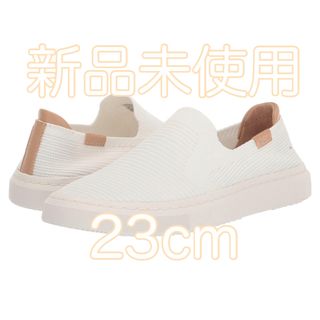 アグ(UGG)の新品 UGG スニーカー 23cm(スニーカー)