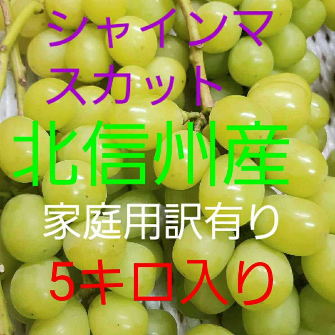 シャインマスカット家庭用徳徳セール品5キロ入りになります。 - 果物