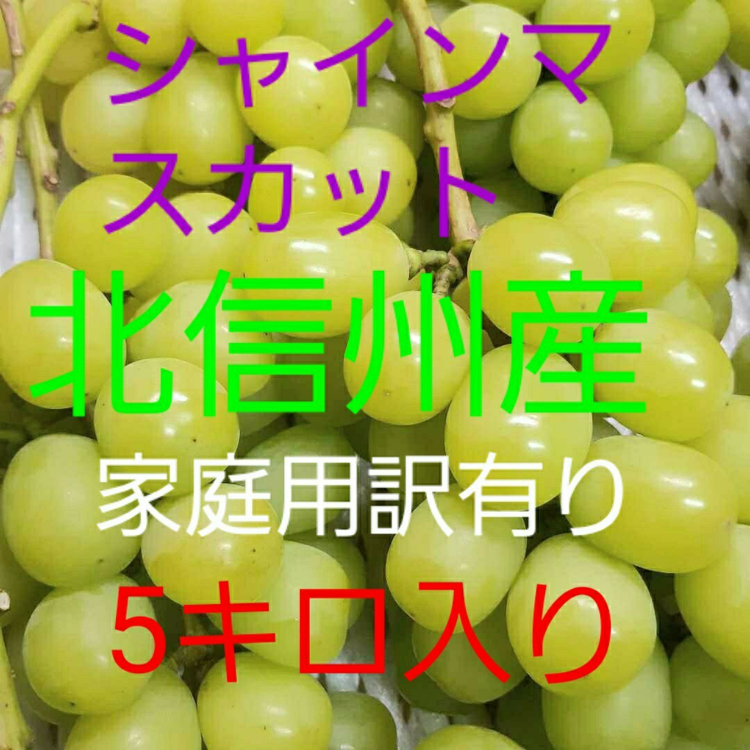 シャインマスカット家庭用訳有り本日限定お買い得品の5キロ入りになります。