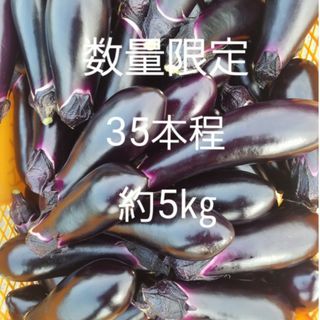 数量　限定　茄子　なす　箱込5㎏　40本前後　訳あり　B級品(野菜)