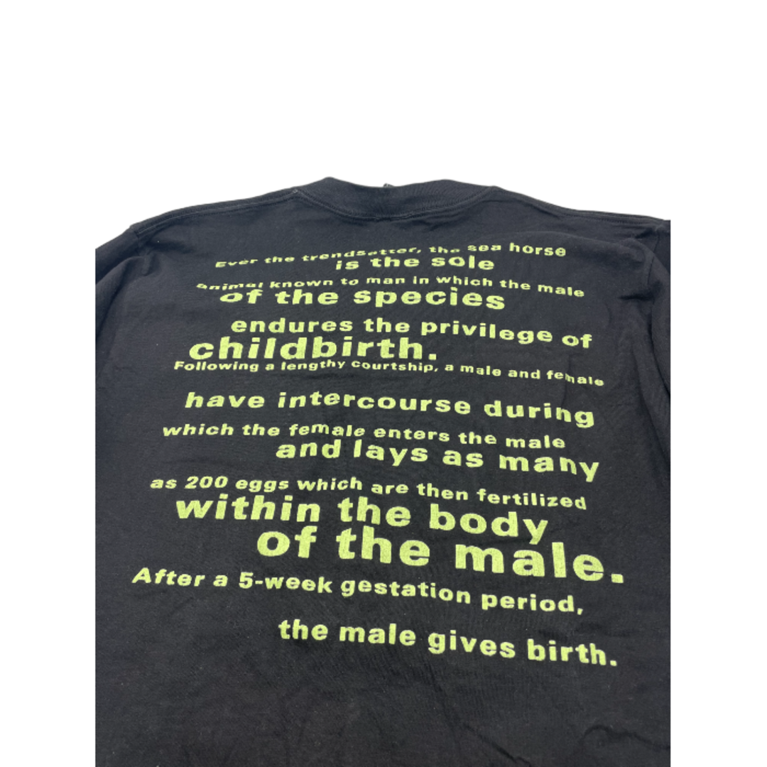 NIRVANA ニルヴァーナ ヴィンテージ バンドTシャツ タツノオトシゴ 90