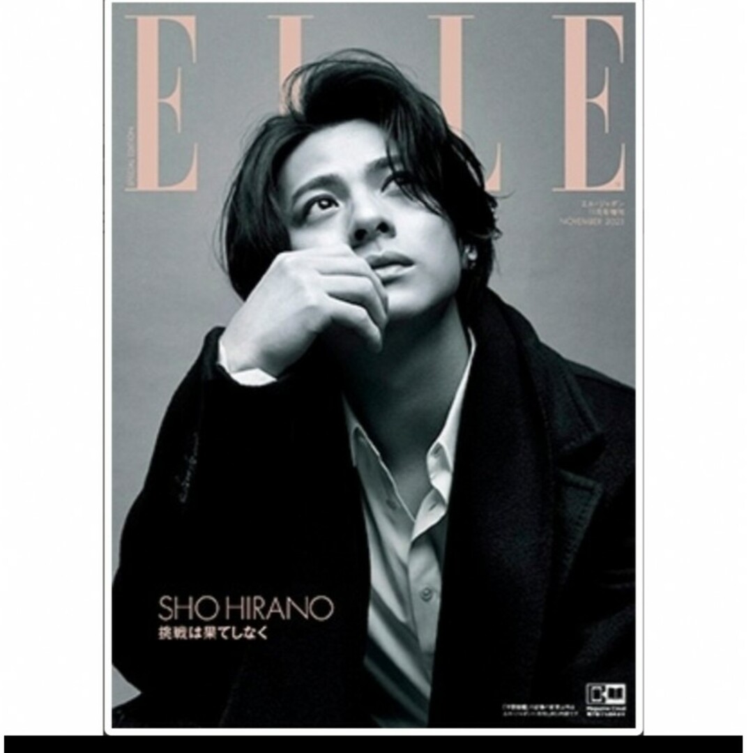 ELLE JAPON 11月号増刊 平野紫耀特別版 エルジャポン エンタメ/ホビーの雑誌(アート/エンタメ/ホビー)の商品写真