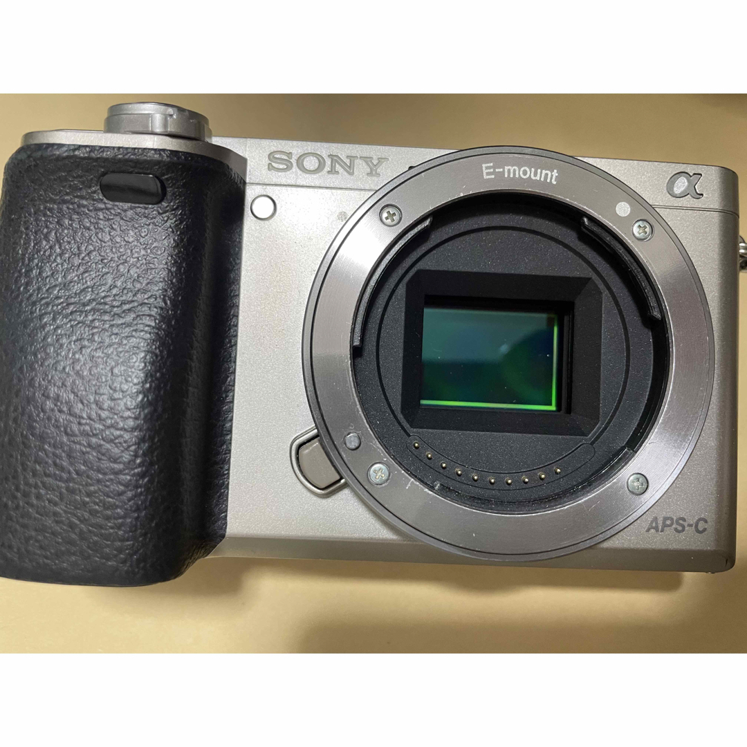 SONY α6000 ボディカメラ