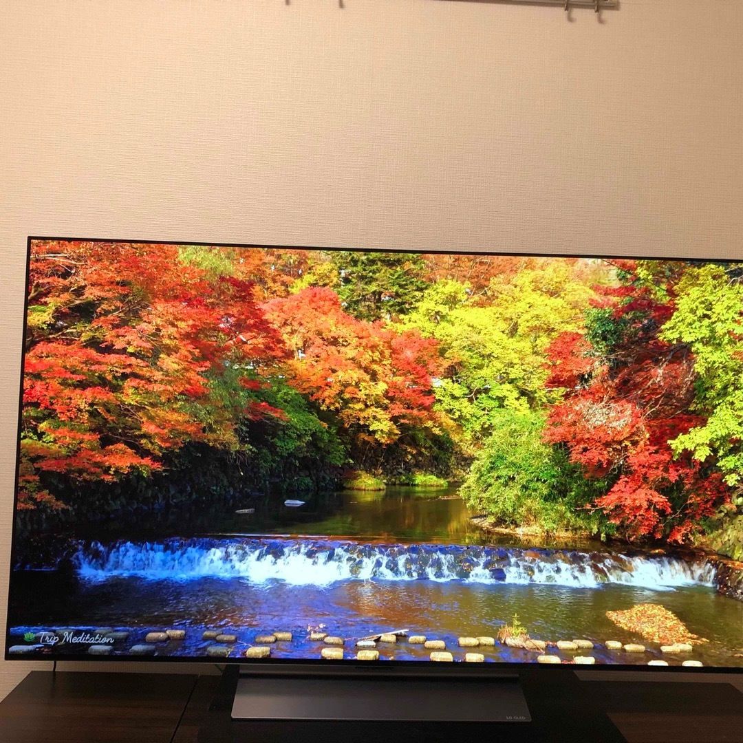 OLEDevo画素数LG 55型 有機ELテレビ  LG OLED55C2PJA 4K