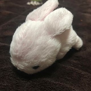 ☆中古品☆手乗りうさぎ🐰(キャラクターグッズ)