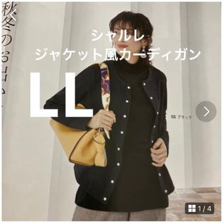 新発売　シャルレストレッチブラウスL