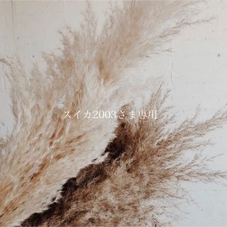 ドゥーズィエムクラス ニット/セーター(レディース)(クルーネック)の