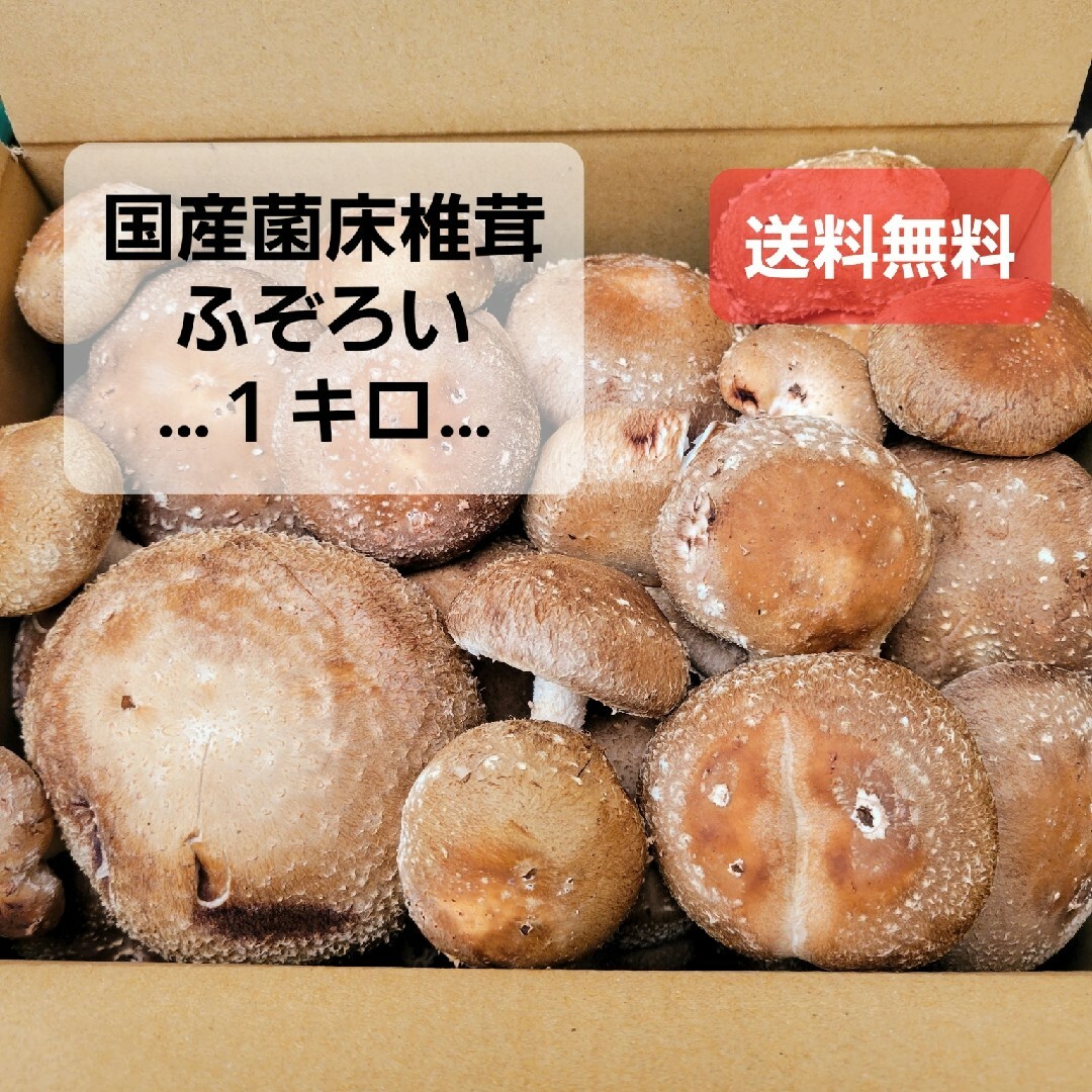 【国産菌床しいたけ】不揃い１キロ 食品/飲料/酒の食品(野菜)の商品写真